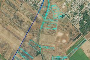 Terreno Olivetato 12,6HA Torchiarolo Case Bianche