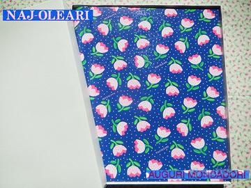 NAJ OLEARI VINTAGE1990 Foto ALBUM Fotografie NUOVI