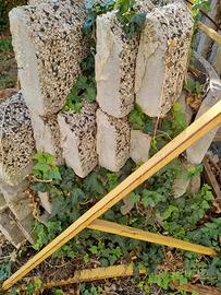 cordonata