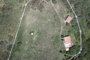 Parco nazionale del Pollino