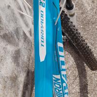 MTB Torpado 27 e mezzo usata pochissimo 