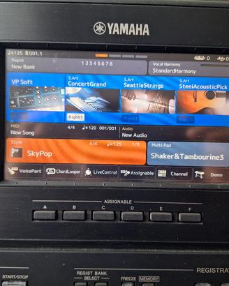 YAMAHA PSR-SX900