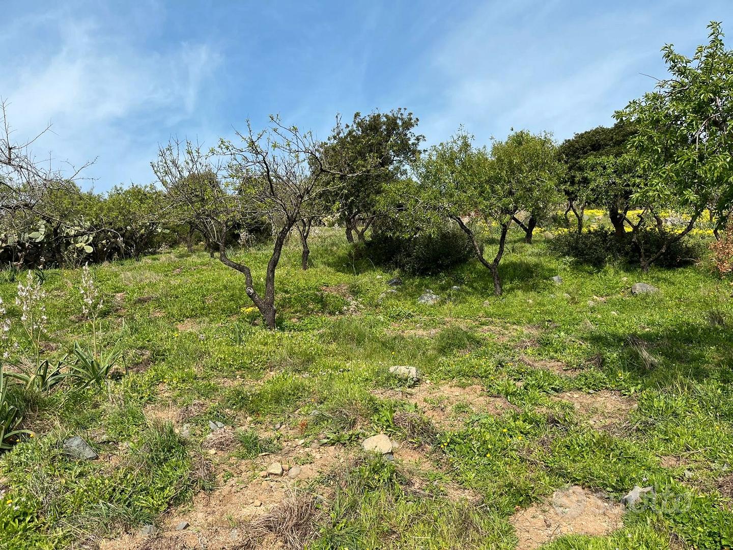Locale di Sgombero - Vista 4