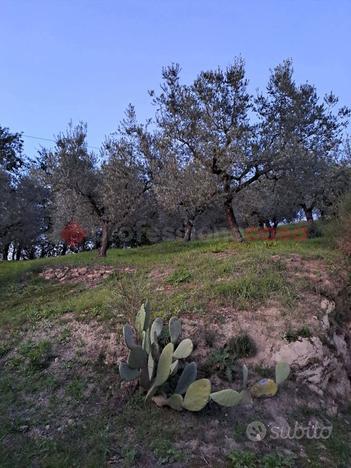 Terreno Agricolo Anagni [Cod. rif 3190778VRG]