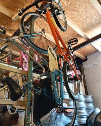 2 biciclette