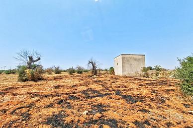TERRENO AGRICOLO con 2 CASOLARI