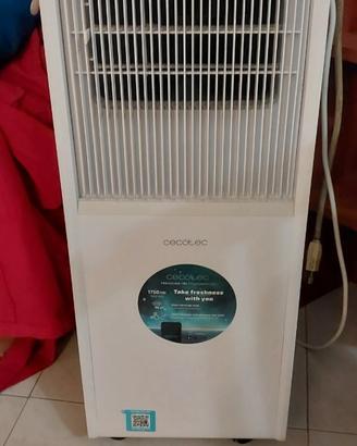Climatizzatore