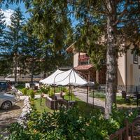 Tour manager/hospitality professional