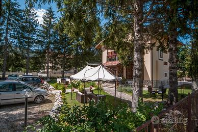 Tour manager/hospitality professional