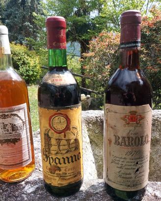 Vini da collezione 