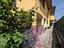 Immagine 10