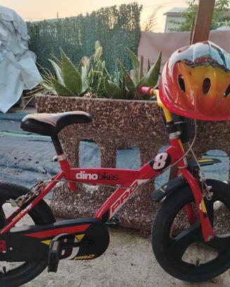 bicicletta