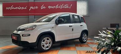 FIAT Panda 1.0 FireFly S&S Hybrid Pop PANDINA...