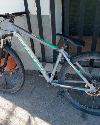 Mountain bike 