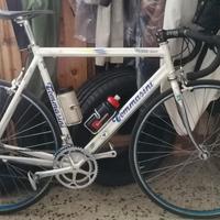 Tommasini premier light