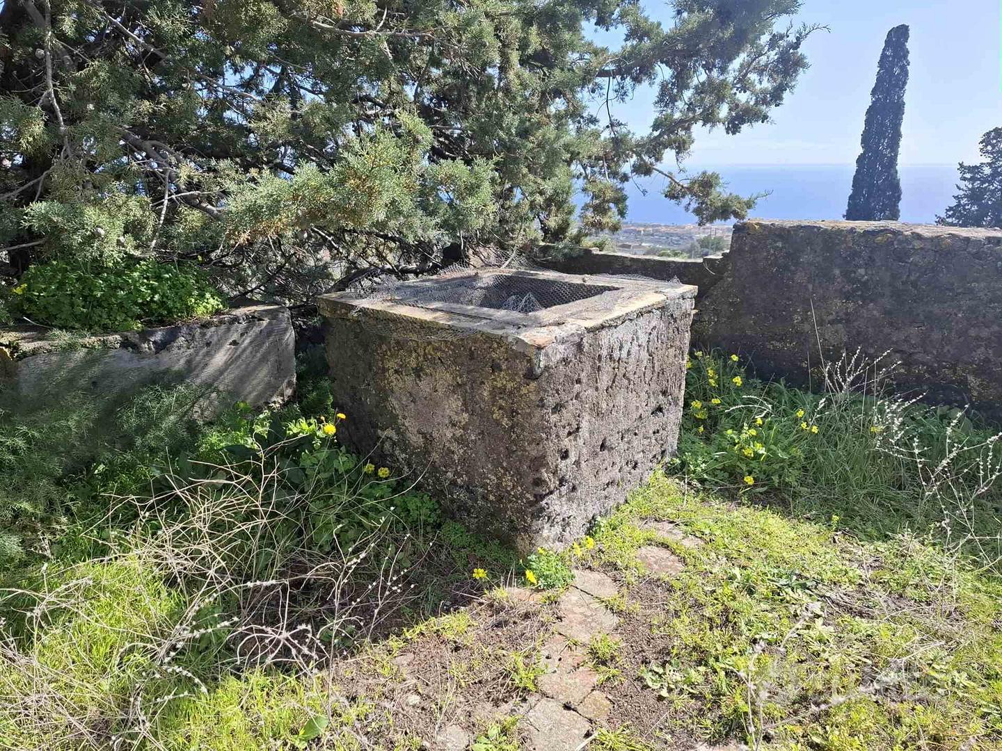 Rif.RA169| terreno agricolo san gregorio di catan - Altro