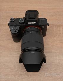 Sony A7III + 28-70 FE 3.5-5.6 OSS