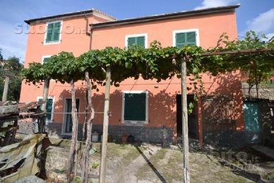 La casa negli ulivi (zona Gaslini) 010025-LT-0604