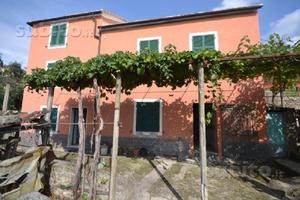 La casa negli ulivi (zona Gaslini) 010025-LT-0604