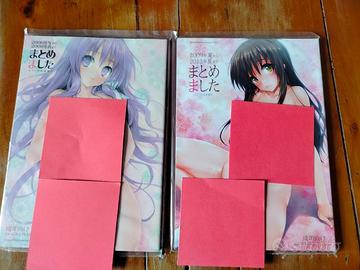 Lotto 2 Manga / Artbook Hentai Doujinshi