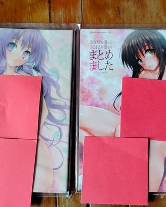 Lotto 2 Manga / Artbook Hentai Doujinshi