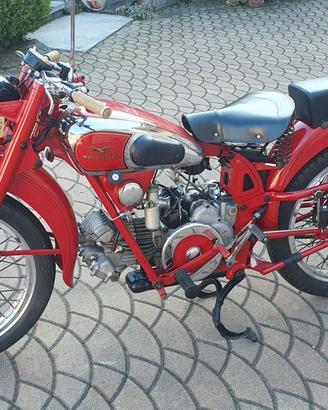 Guzzi airone 250cc 1951