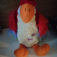 Pappagallo Ara