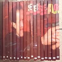 Collana di DVD “Steven Seagal