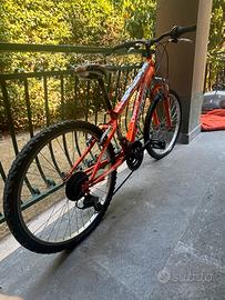 Biciclettta Doublezz