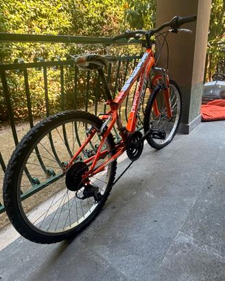 Biciclettta Doublezz