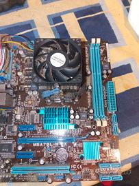 scheda madre asus