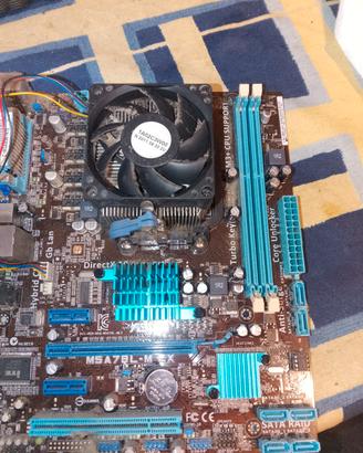 scheda madre asus