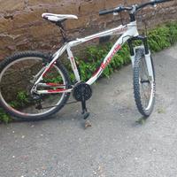 MTB FX 530 Bottecchia