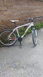 MTB FX 530 Bottecchia