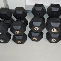 LACERTOSUS MANUBRI DUMBBELS PESI DA 2 A 32,5KG