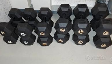 LACERTOSUS MANUBRI DUMBBELS PESI DA 2 A 32,5KG