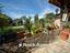 Immagine 27