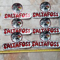 adesivi biciclette SALTAFOSS