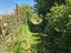 Immagine 28