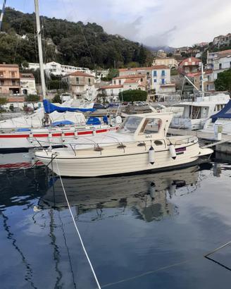 Barca a Motore