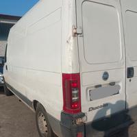 Ricambi Fiat ducato furgonato 2.8 JTD del 2005