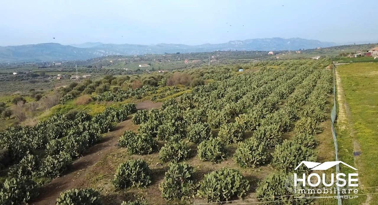 SANTA MARIA DI LICODIA AZIENDA AGRICOLA - Vista 2