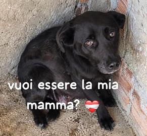 Gilda 9 anni- una vita che aspetto in questo box!