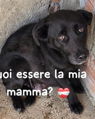 Gilda 9 anni- una vita che aspetto in questo box!