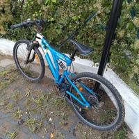 Bicicletta Bambino 10-12 anni
