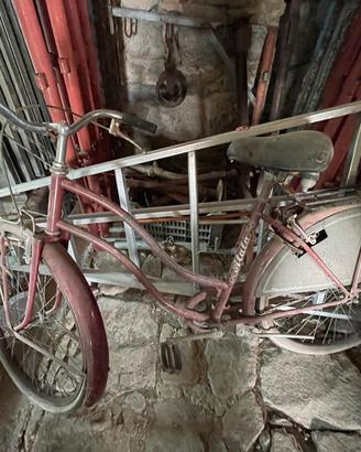 Bicicletta da donna