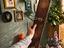 Immagine 1