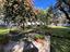 Immagine 25