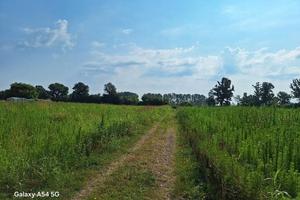 L.GIUD. 25/2024 Trib Pavia - LOTTO D