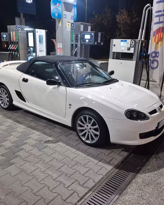 Mg Tf